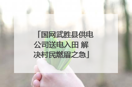 国网武胜县供电公司送电入田 解决村民燃眉之急