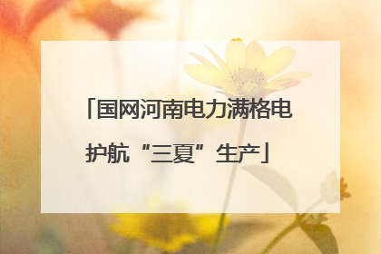 国网河南电力满格电护航“三夏”生产