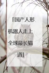 国产人形机器人走上全球最长猫道