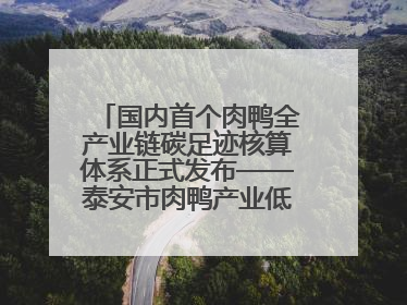 国内首个肉鸭全产业链碳足迹核算体系正式发布——泰安市肉鸭产业低碳发展标准示范项目顺利通过验收