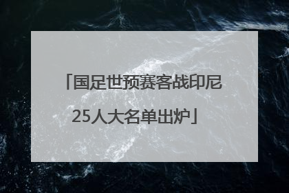 国足世预赛客战印尼25人大名单出炉
