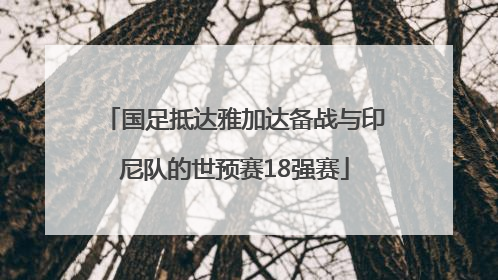 国足抵达雅加达备战与印尼队的世预赛18强赛