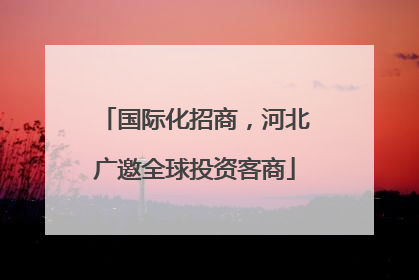 国际化招商，河北广邀全球投资客商