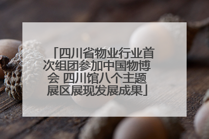 四川省物业行业首次组团参加中国物博会 四川馆八个主题展区展现发展成果