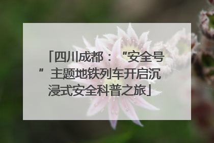 四川成都：“安全号”主题地铁列车开启沉浸式安全科普之旅