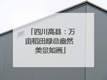 四川高县：万亩稻田绿意盎然 美景如画