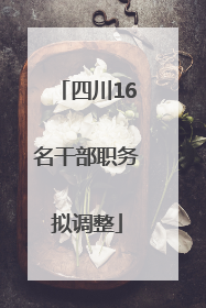 四川16名干部职务拟调整