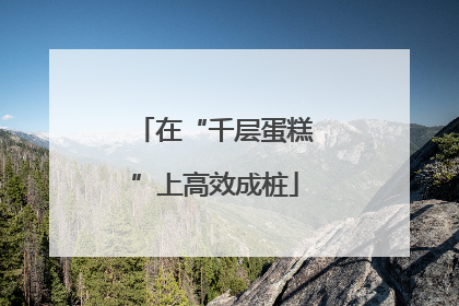 在“千层蛋糕”上高效成桩