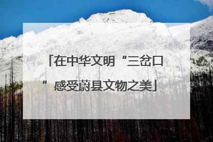 在中华文明“三岔口”感受蔚县文物之美