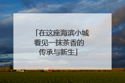 在这座海滨小城 看见一抹茶香的传承与新生