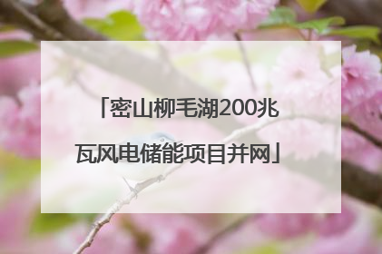 密山柳毛湖200兆瓦风电储能项目并网