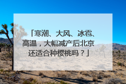 寒潮、大风、冰雹、高温，大幅减产后北京还适合种樱桃吗？