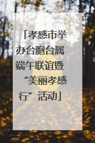 孝感市举办台胞台属端午联谊暨“美丽孝感行”活动