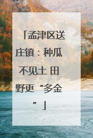 孟津区送庄镇：种瓜不见土 田野更“多金”