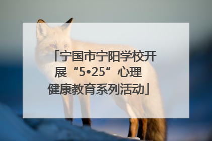 宁国市宁阳学校开展“5•25”心理健康教育系列活动