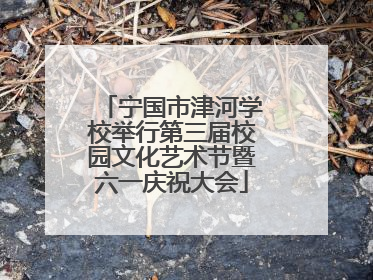 宁国市津河学校举行第三届校园文化艺术节暨六一庆祝大会