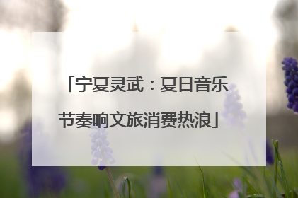 宁夏灵武：夏日音乐节奏响文旅消费热浪
