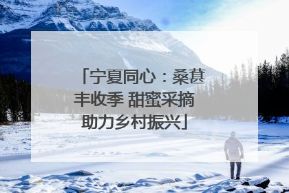 宁夏同心：桑葚丰收季 甜蜜采摘助力乡村振兴