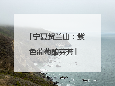 宁夏贺兰山：紫色葡萄酿芬芳