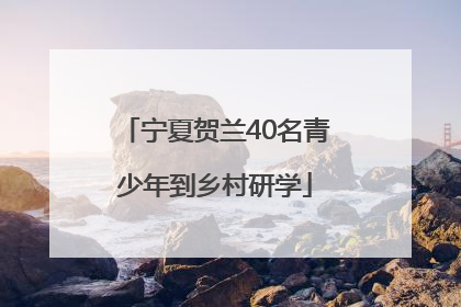 宁夏贺兰40名青少年到乡村研学