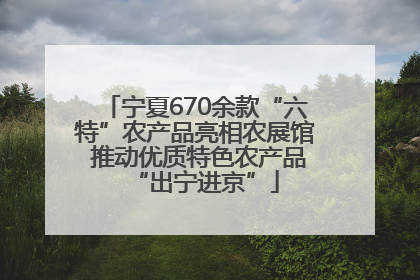 宁夏670余款“六特”农产品亮相农展馆 推动优质特色农产品“出宁进京”