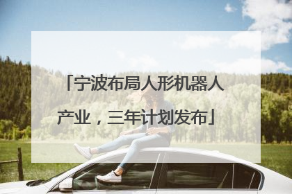 宁波布局人形机器人产业，三年计划发布