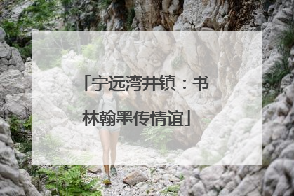 宁远湾井镇：书林翰墨传情谊