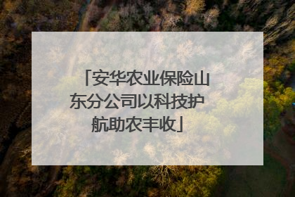 安华农业保险山东分公司以科技护航助农丰收