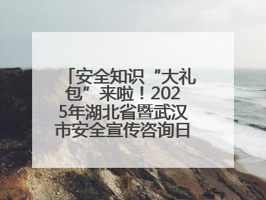 安全知识“大礼包”来啦！2025年湖北省暨武汉市安全宣传咨询日活动在汉举行