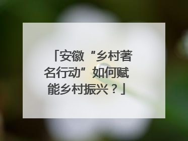 安徽“乡村著名行动”如何赋能乡村振兴？