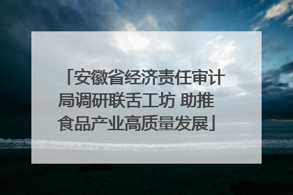 安徽省经济责任审计局调研联舌工坊 助推食品产业高质量发展