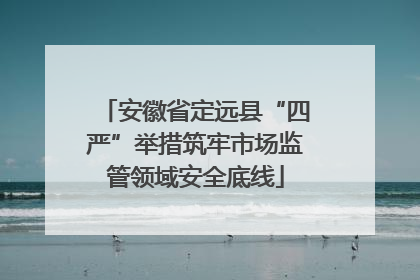 安徽省定远县“四严”举措筑牢市场监管领域安全底线