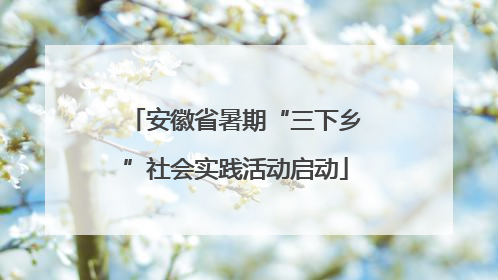 安徽省暑期“三下乡”社会实践活动启动