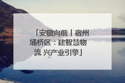 安徽向前丨宿州埇桥区：建智慧物流 兴产业引擎