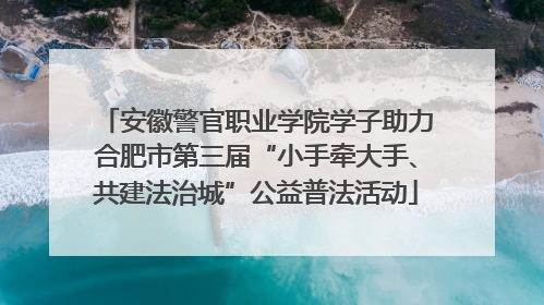 安徽警官职业学院学子助力合肥市第三届“小手牵大手、共建法治城”公益普法活动