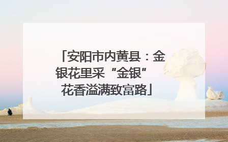 安阳市内黄县：金银花里采“金银” 花香溢满致富路