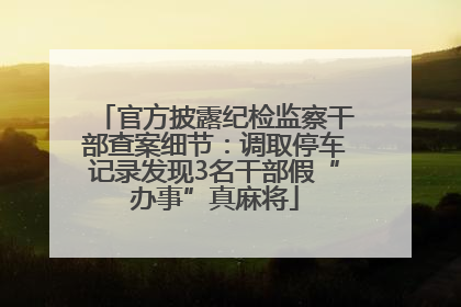 官方披露纪检监察干部查案细节：调取停车记录发现3名干部假“办事”真麻将