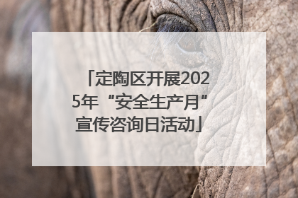 定陶区开展2025年“安全生产月”宣传咨询日活动