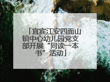 宜宾江安四面山镇中心幼儿园党支部开展“同读一本书”活动