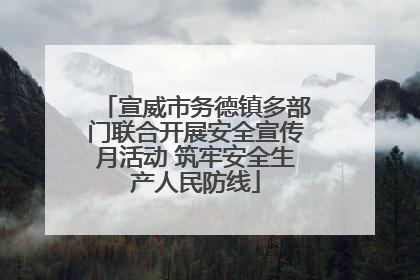 宣威市务德镇多部门联合开展安全宣传月活动 筑牢安全生产人民防线