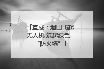 宣威：烟田飞起无人机 筑起绿色“防火墙”
