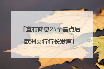宣布降息25个基点后 欧洲央行行长发声