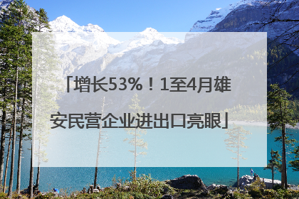 增长53%！1至4月雄安民营企业进出口亮眼