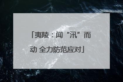 夷陵：闻“汛”而动 全力防范应对