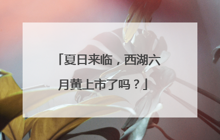 夏日来临，西湖六月黄上市了吗？