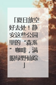 夏日放空好去处！静安这些公园里的“森系”咖啡，满眼绿野仙踪