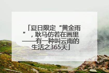 夏日限定“黄金雨”，耿马仿若在画里——有一种叫云南的生活之365天