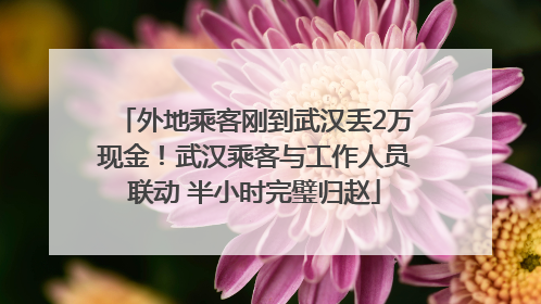 外地乘客刚到武汉丢2万现金！武汉乘客与工作人员联动 半小时完璧归赵