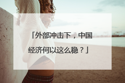 外部冲击下，中国经济何以这么稳？