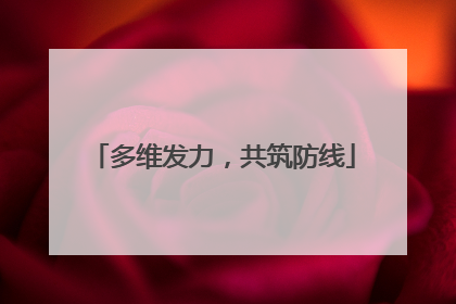 多维发力，共筑防线